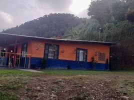 4 Habitación Casa en venta en Tulua, Valle Del Cauca, Tulua