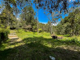  Land for sale in Guarne, Antioquia, Guarne