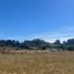  Land for sale in Araucania, Nueva Imperial, Cautin, Araucania