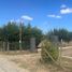  Land for sale in Araucania, Nueva Imperial, Cautin, Araucania