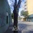  Land for sale in Chile, Requinao, Cachapoal, Libertador General Bernardo Ohiggins, Chile