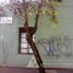  Land for sale in Chile, Requinao, Cachapoal, Libertador General Bernardo Ohiggins, Chile