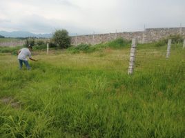  Grundstück zu verkaufen in Cuernavaca, Morelos, Cuernavaca, Morelos, Mexiko