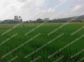  Land for sale in Daule, Guayas, Daule, Daule