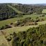  Land for sale in Chile, Los Muermos, Llanquihue, Los Lagos, Chile