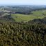  Land for sale in Chile, Los Muermos, Llanquihue, Los Lagos, Chile