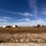  Land for sale in Lagos De Moreno, Jalisco, Lagos De Moreno