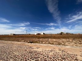  Land for sale in Lagos De Moreno, Jalisco, Lagos De Moreno