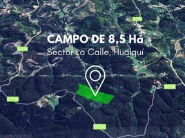  Terreno (Parcela) en venta en Biobío, Hualqui, Concepción, Biobío