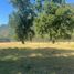 2 Bedroom House for sale in Araucania, Cunco, Cautin, Araucania