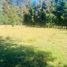 2 Bedroom House for sale in Araucania, Cunco, Cautin, Araucania