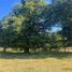 2 Bedroom House for sale in Araucania, Cunco, Cautin, Araucania