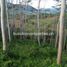  Land for sale in Bukidnon, Northern Mindanao, Valencia City, Bukidnon