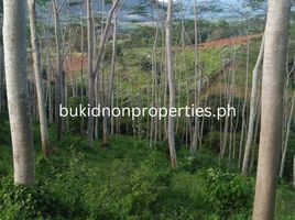  Land for sale in Bukidnon, Northern Mindanao, Valencia City, Bukidnon