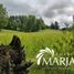  Terreno (Parcela) en venta en Chile, Villarrica, Cautín, Araucanía, Chile