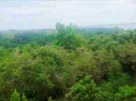  Land for sale in Bataan, Central Luzon, Hermosa, Bataan