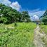  Grundstück zu verkaufen in Leyte, Eastern Visayas, Tacloban City, Leyte, Eastern Visayas