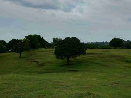  Land for sale in La Union, Ilocos, Rosario, La Union