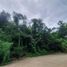 Terrain à vendre à Antipolo City, Calabarzon, Antipolo City, Rizal
