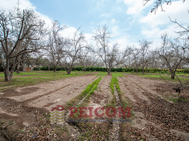  Terreno (Parcela) en venta en El Carmen, Chincha, El Carmen