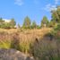  Land for sale in San Luis Potosi, San Luis Potosi, San Luis Potosi, San Luis Potosi