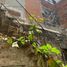 7 Bedroom House for sale in San Andres Cholula, Puebla, San Andres Cholula, Puebla