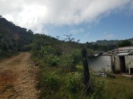  Villa zu verkaufen in El Carmen De Viboral, Antioquia, El Carmen De Viboral