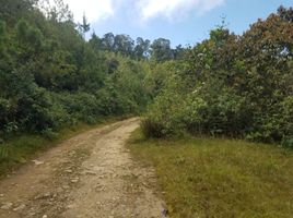  Villa en venta en El Carmen De Viboral, Antioquia, El Carmen De Viboral