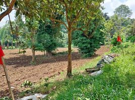  Land for sale in Claveria, Misamis Oriental, Claveria