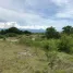  Land for sale in Calatagan, Batangas, Calatagan