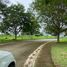 Terrain à vendre à Calamba City, Calabarzon, Calamba City