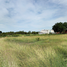  Land for sale in Altamira, Tamaulipas, Altamira