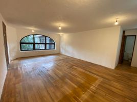 41 m2 Office for rent in Alvaro Obregon, Mexico City, Alvaro Obregon