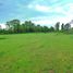  Land for sale in Nuble, Chillan, Diguillin, Nuble