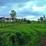  Land for sale in Nuble, Chillan, Diguillin, Nuble