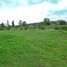  Land for sale in Nuble, Chillan, Diguillin, Nuble