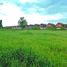  Land for sale in Nuble, Chillan, Diguillin, Nuble