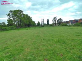  Land for sale in Nuble, Chillan, Diguillin, Nuble