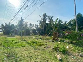  Land for sale in Panglao, Central Visayas, Panglao