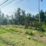  Land for sale in Panglao, Central Visayas, Panglao