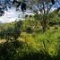  Land for sale in Quipile Cundinamarca, Quipile