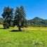  Land for sale in Llanquihue, Los Lagos, Puerto Varas, Llanquihue