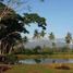 Land for sale in Tiaong, Calabarzon, Tiaong, Quezon