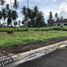  Land for sale in Tiaong, Calabarzon, Tiaong, Quezon