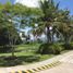  Land for sale in Tiaong, Calabarzon, Tiaong, Quezon