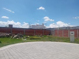  Terreno (Parcela) en venta en San Jeronimo Tecuanipan, Puebla, San Jeronimo Tecuanipan, Puebla