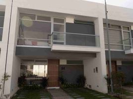 3 Bedroom House for sale in Tumbaco, Quito, Tumbaco