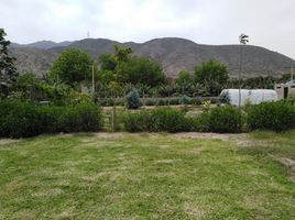  Terreno (Parcela) en venta en Huaral, Lima, Huaral, Huaral