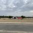 Terrain à vendre à Castilla, Piura, Castilla, Piura, Piura, Pérou