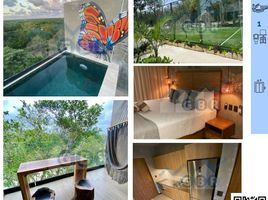 1 Bedroom Apartment for rent in Cozumel, Quintana Roo, Cozumel, Quintana Roo